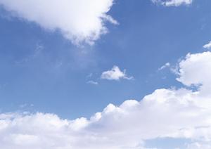 2025年最新版：東京で選ぶ浄土真宗の永代供養のメリットと安心のポイント