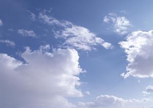 宇都宮市の家族葬・一般葬に最適な葬儀場｜さがみ典礼 中戸祭の特徴とおすすめポイント