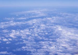 403 Forbiddenエラーの解決と対処法｜ウェブサイト閲覧のトラブルシューティングガイド