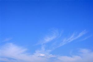 家族で最期のお見送りをする家族葬