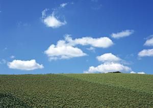 和歌山でお墓を手に入れるためには