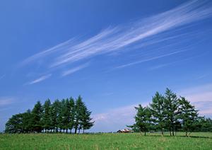 宮城県で樹木葬の相談ができるお寺