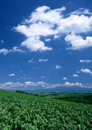 富士市青島の家族葬専用会場【富士葬祭 富士青島】｜安心の葬儀サービスと便利なアクセス情報