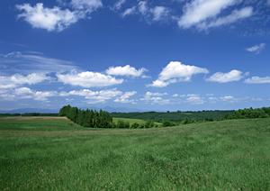 富士宮市三園平の安心できる葬儀式場：富士葬祭 三園平の特徴と利用ガイド