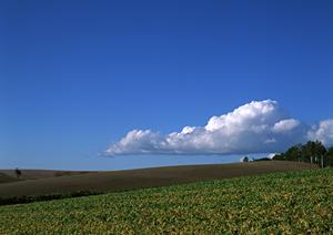 磐田市二之宮にある信頼の葬儀場｜富士葬祭 中泉の特徴とサービス詳細