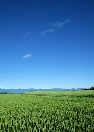 静岡市清水区にある家族葬専門斎場、富士葬祭 双樹の魅力とサービス詳細
