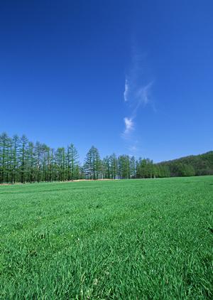 23区永代供養墓ならここが良いです