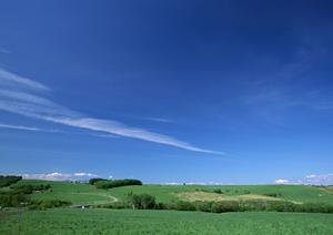 浜松市中央区に位置する富士葬祭 三方原：心を込めたお見送りと地域に根ざした葬儀サービス