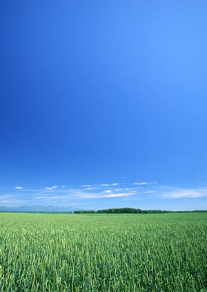 埼玉県にあるお葬式をサポートする会社