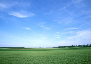 佐野市の信頼できる葬儀場【さがみ典礼佐野】の特徴とアクセス情報｜安心の事前相談と充実の設備