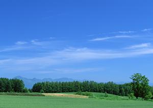 【2024年最新版】信頼できるWEBサイトの403 Forbiddenエラーの原因と解決法