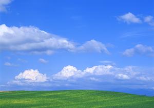 静岡市で安心の家族葬と葬儀を提供する【富士葬祭 瀬名】の詳細ガイド