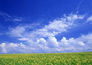 静岡県富士市にある信頼の葬儀会場：富士葬祭 富士鷹岡の特徴とサービス内容