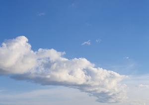 神奈川の小田原市にある永代供養の納骨堂