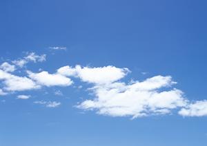 新たな生命を育むことになる自然葬