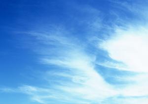 静岡県の家族葬・火葬に特化した葬儀サービス｜家族葬のタクセル詳細ガイド