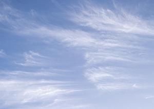 【総合葬儀場・斎場】ティア越谷の特徴と最新情報｜安心価格と充実のサービスを提供