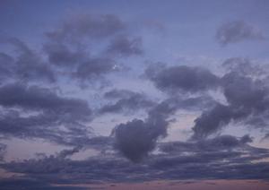 藤枝市近郊にある納骨堂なら医王寺