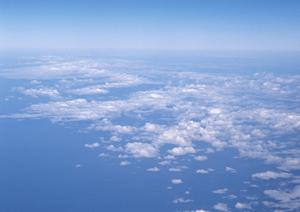 樹林墓地を検討しているなら禅興寺です